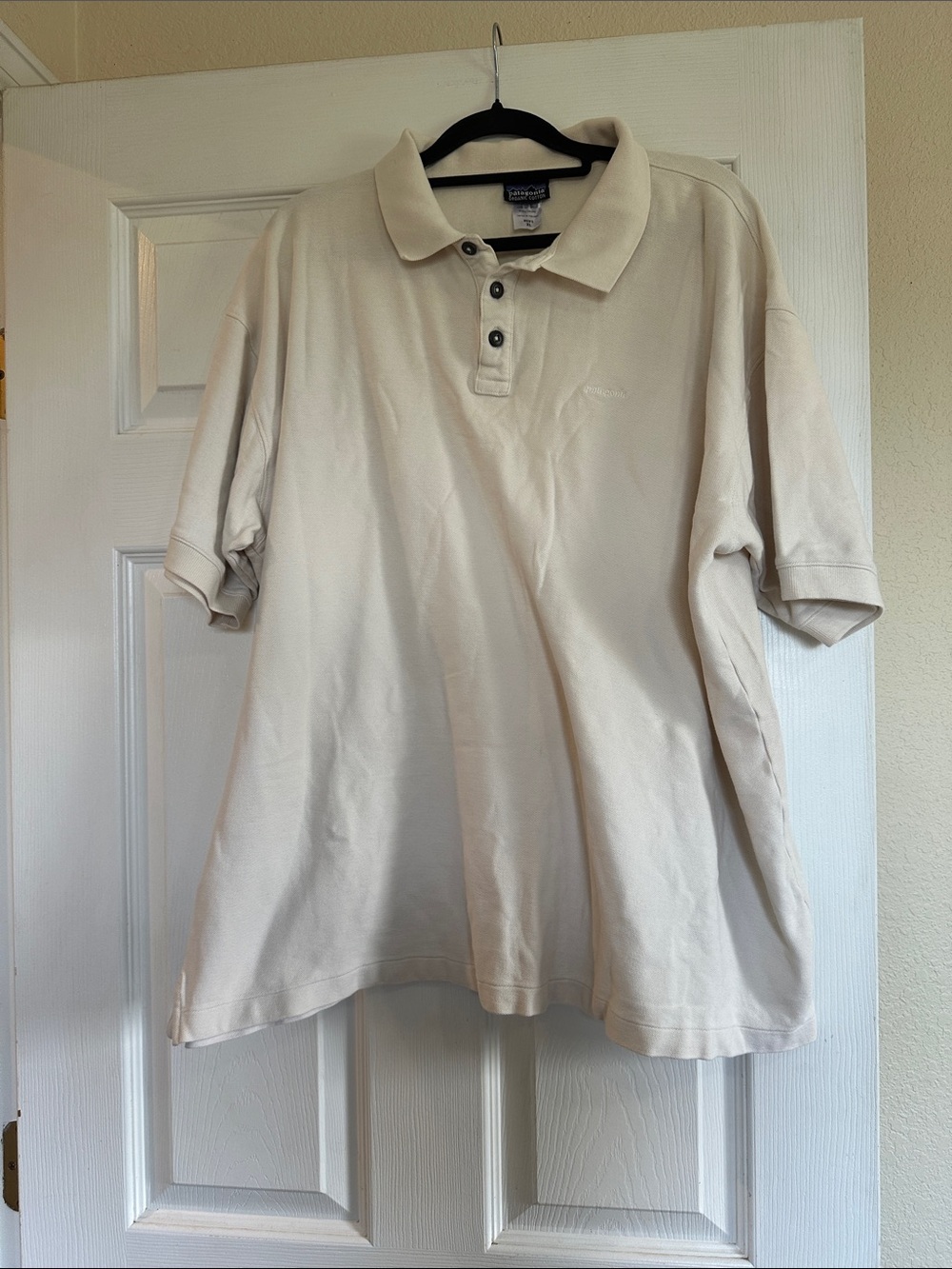 Patagonia polo shirt